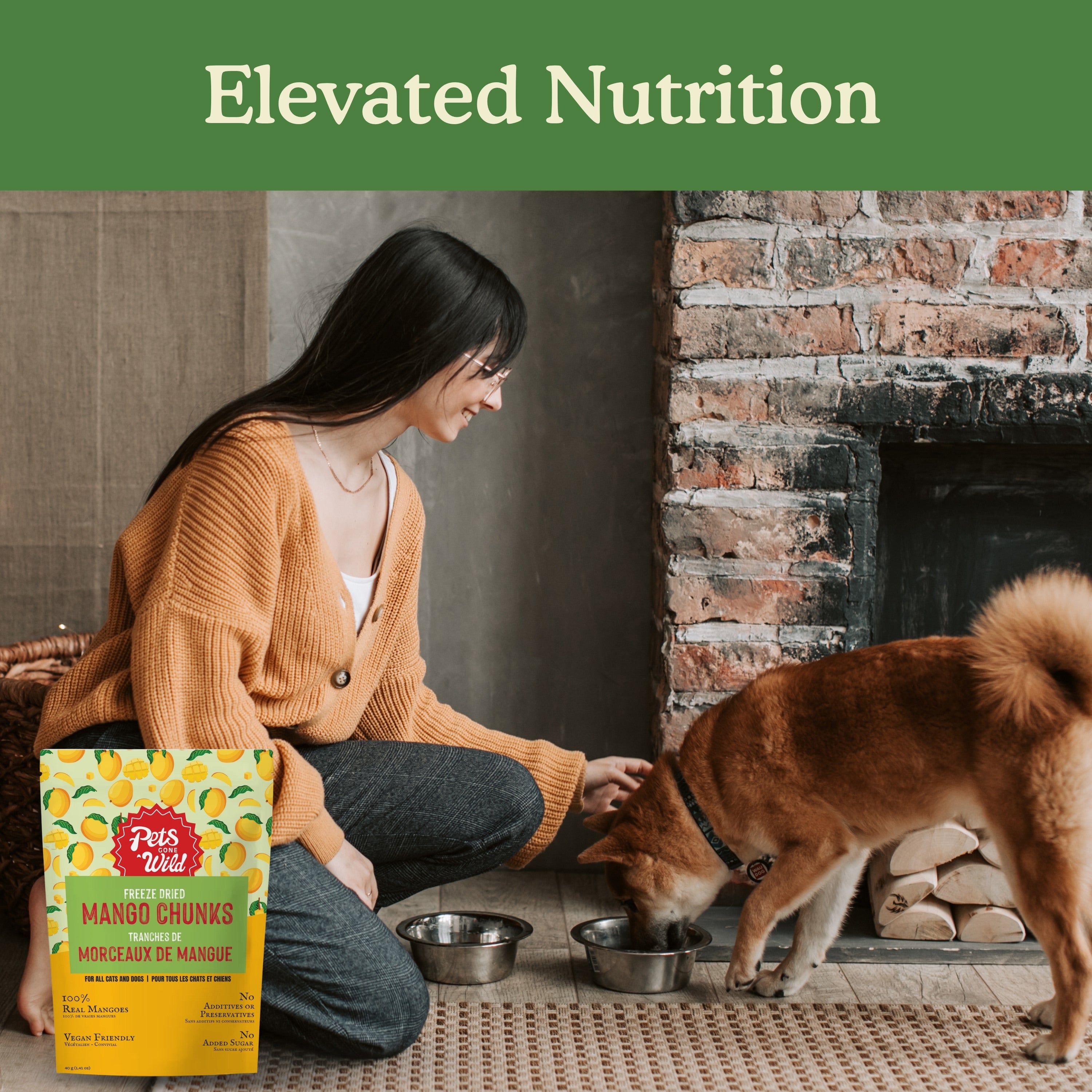Pet owner feeding Pets Gone Wild freeze-dried mango chunk treats to a Shiba Inu dog at home, with the 40g mango treat pouch in the foreground, representing elevated daily nutrition for dogs in Canada