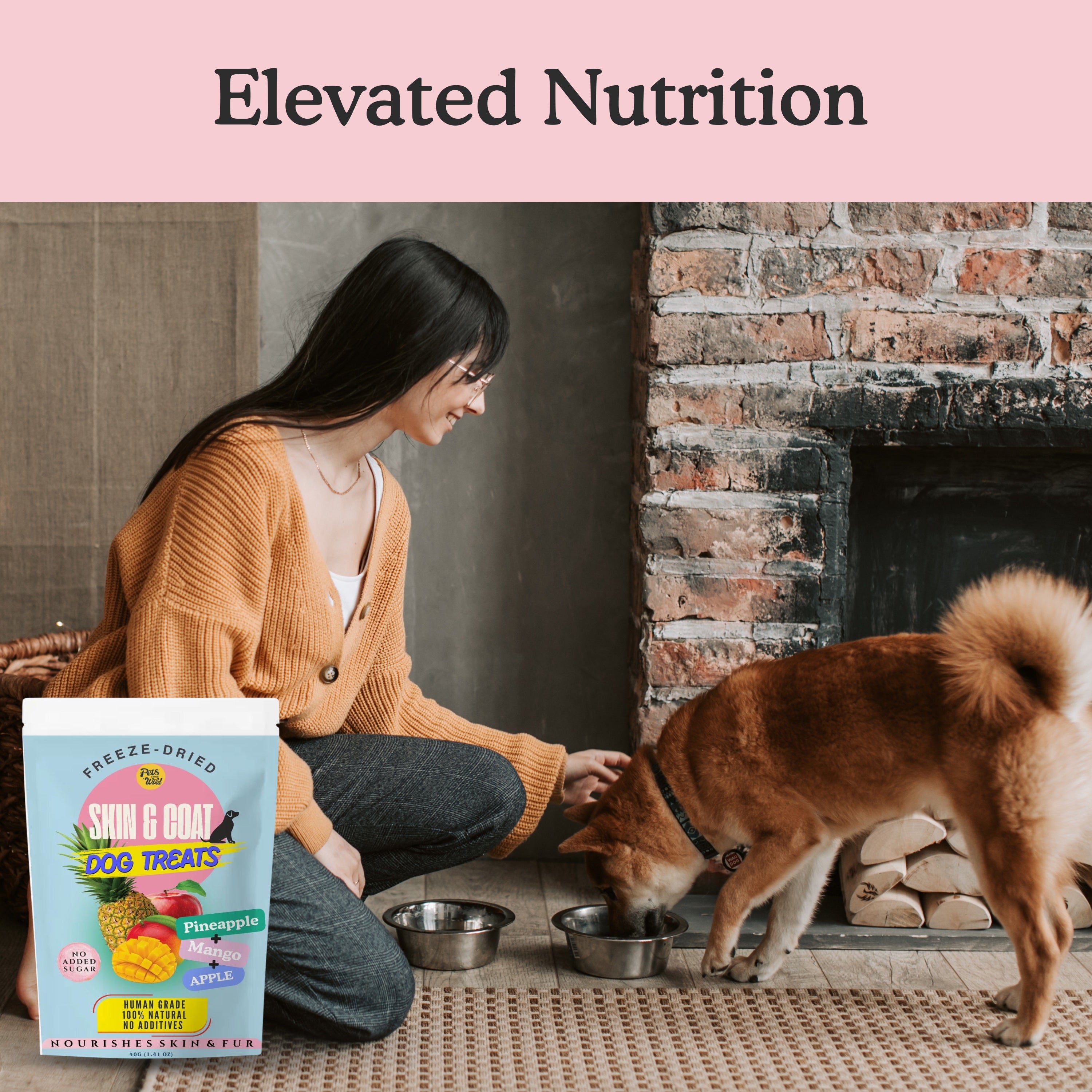 Pet owner feeding Pets Gone Wild freeze-dried pineapple mango apple Skin and Coat Dog Treats to a Shiba Inu dog at home beside a fireplace, with the light blue 40g skin and coat treat pouch in the foreground, representing elevated daily skin and coat nutrition for dogs in Canada