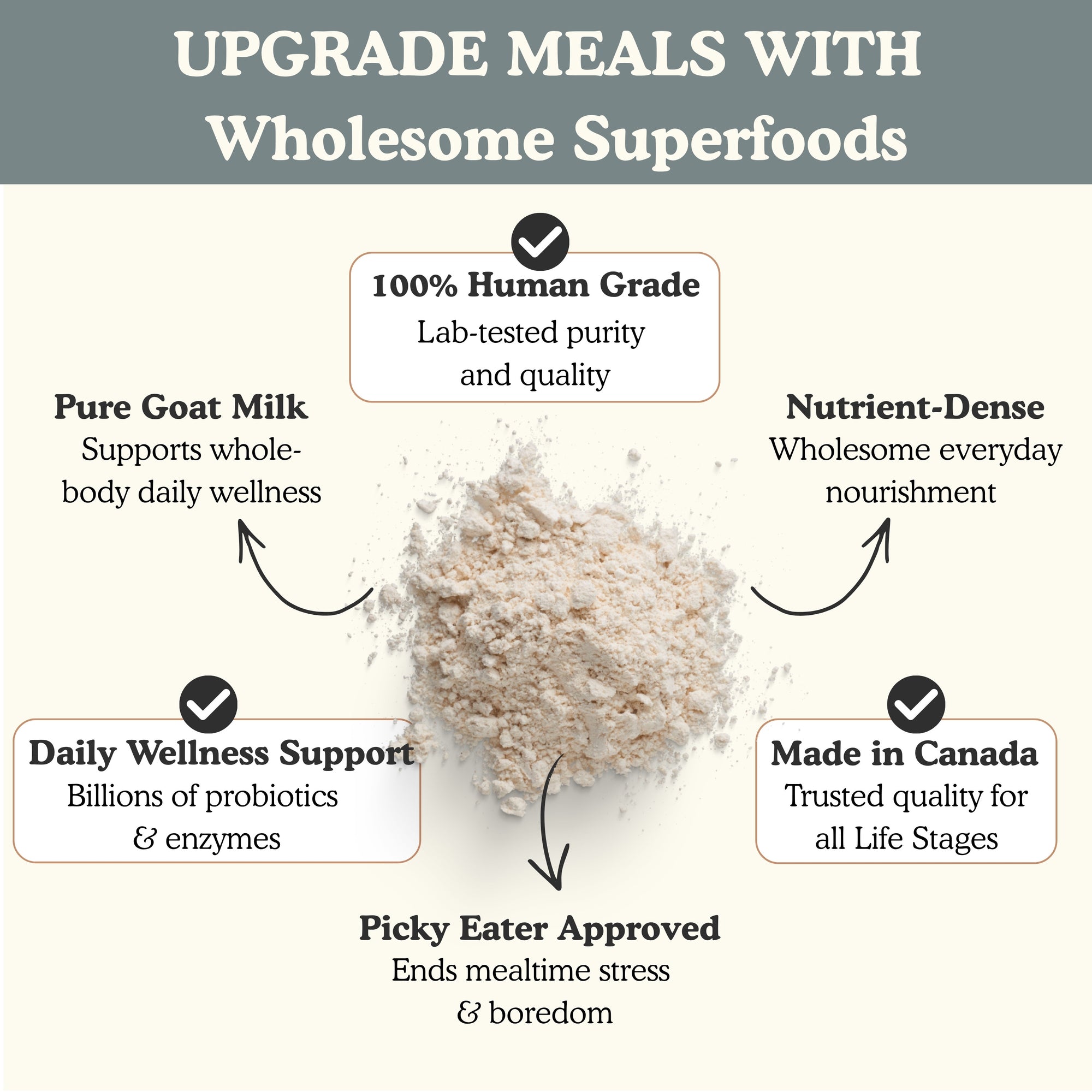 Infographic showing five benefits of Pets Gone Wild unflavored powdered goat milk for dogs and cats: 100% human grade with lab-tested purity and quality, pure goat milk supports whole-body daily wellness, nutrient-dense wholesome everyday nourishment, daily wellness support with billions of probiotics and enzymes, picky-eater approved to end mealtime stress, made in Canada for all life stages