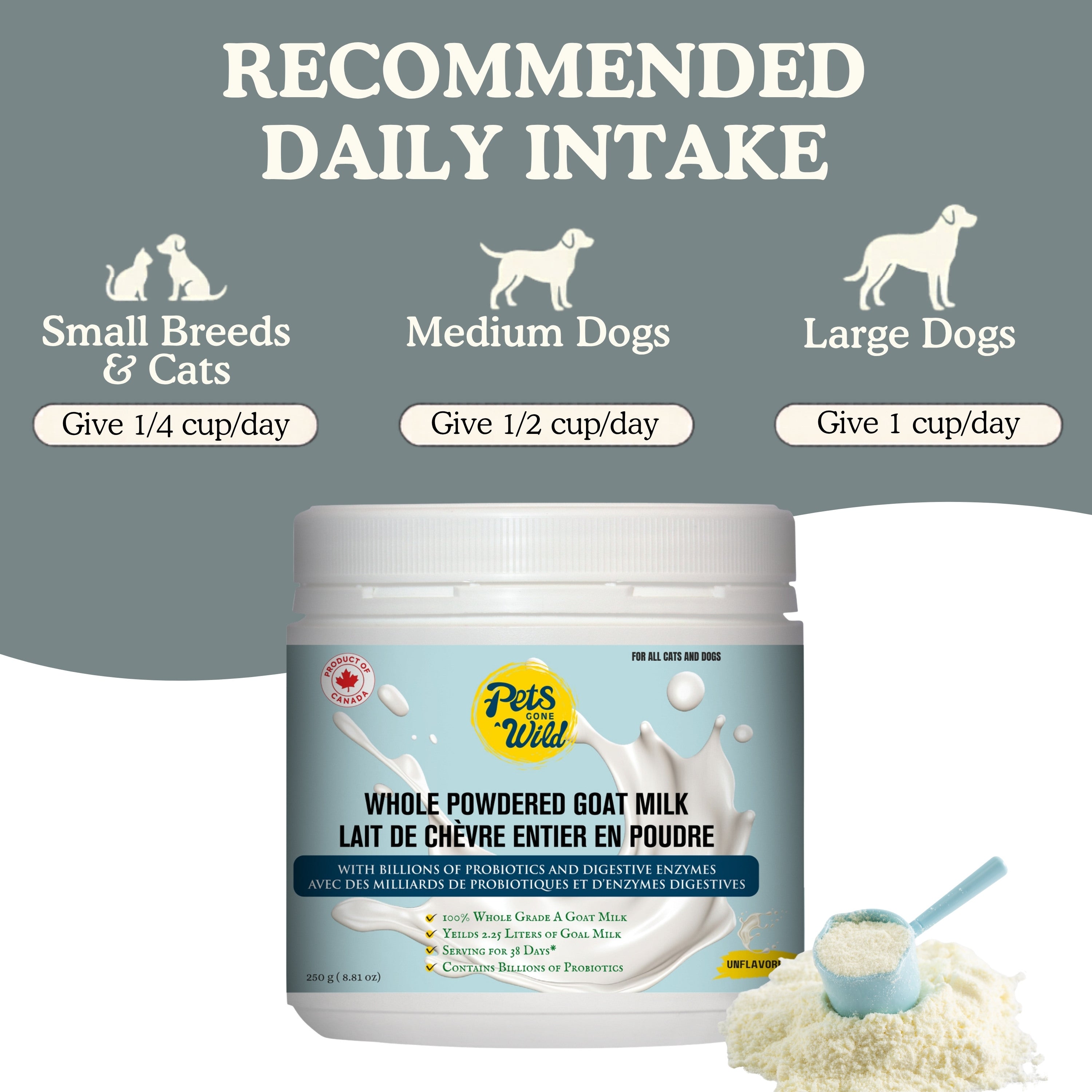 Recommended daily intake guide for Pets Gone Wild unflavored whole powdered goat milk: small breeds and cats get quarter cup per day, medium dogs get half cup per day, large dogs get 1 cup per day — 250g canister provides 38-day serving supply, Product of Canada, unflavored for all cats and dogs